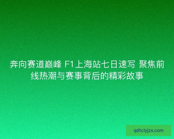 奔向赛道巅峰 F1上海站七日速写 聚焦前线热潮与赛事背后的精彩故事