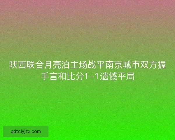 陕西联合月亮泊主场战平南京城市双方握手言和比分1-1遗憾平局